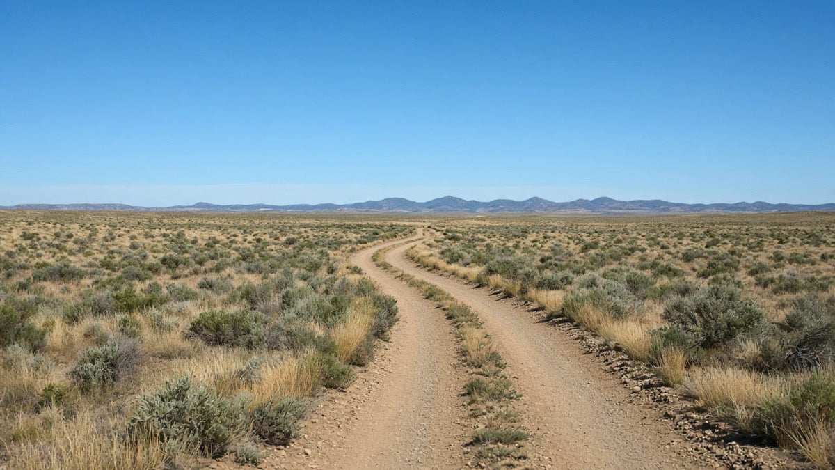 Digital guides for dispersed camping on public land